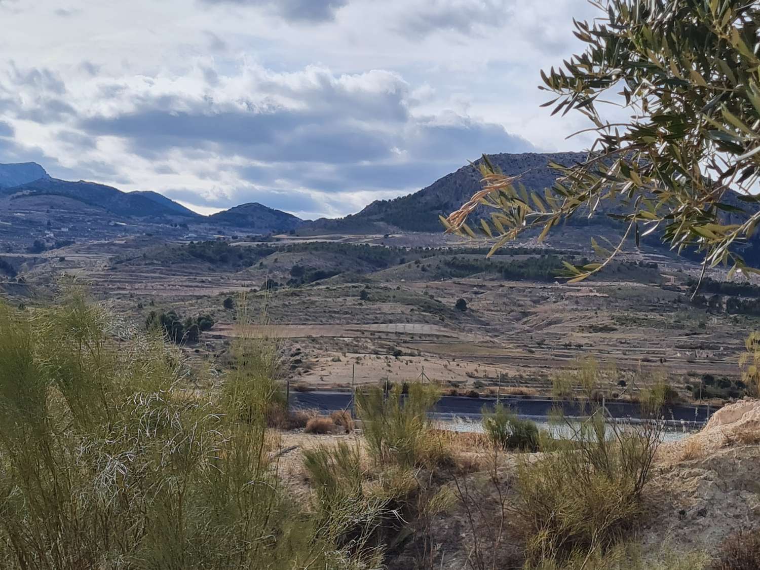 Groot en redelijk geprijsd perceel landbouwgrond met oude cortijo voor hervorming