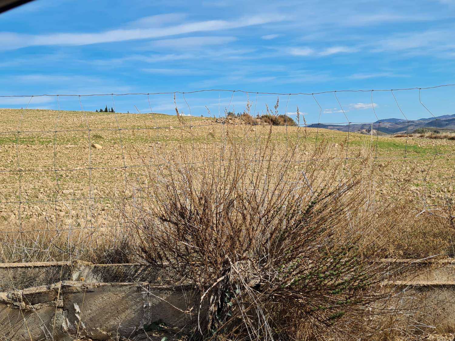 Groot en redelijk geprijsd perceel landbouwgrond met oude cortijo voor hervorming