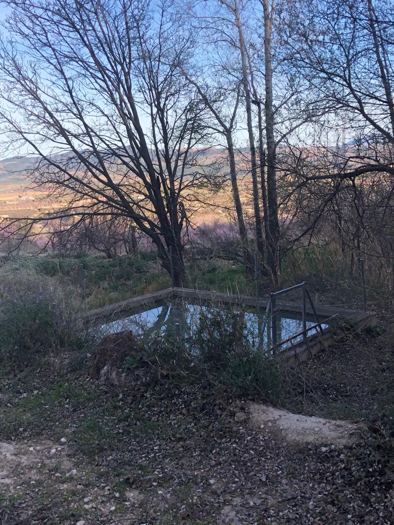 Grande maison de campagne réformée de 6 chambres et 2 salles de bains avec un moulin à farine en activité, un terrain et des dépendances à Velez-Blanco