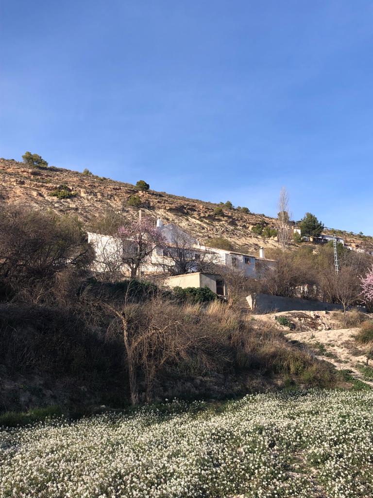 Grande maison de campagne réformée de 6 chambres et 2 salles de bains avec un moulin à farine en activité, un terrain et des dépendances à Velez-Blanco