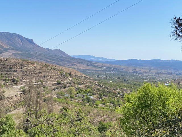 Land and buildings for Reform near Velez-Blanco