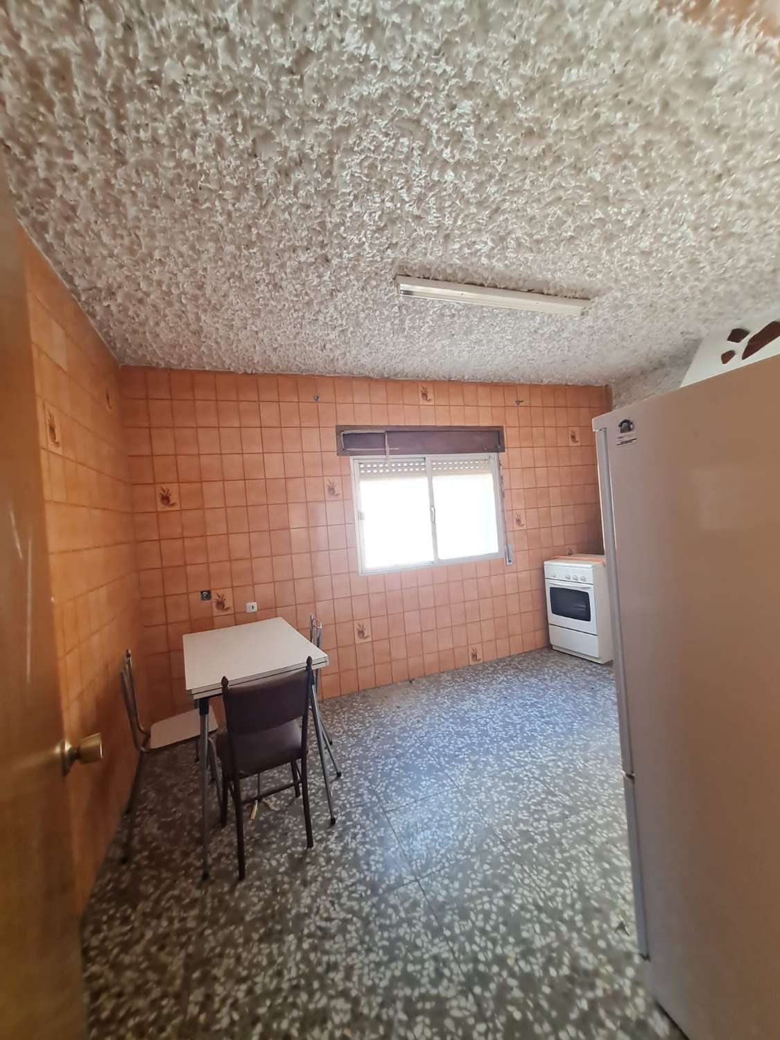 Ruim appartement en winkel in Vélez-Blanco