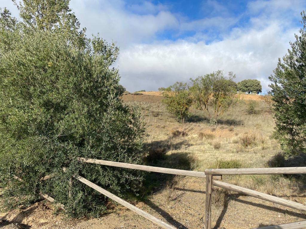 Increíble finca campestre con corrales y establos, cerca de Chirivel