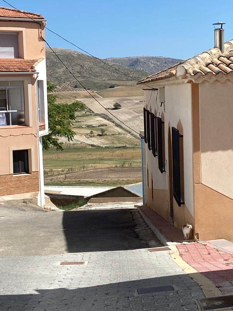 Gran casa adosada mayormente reformada en Topares