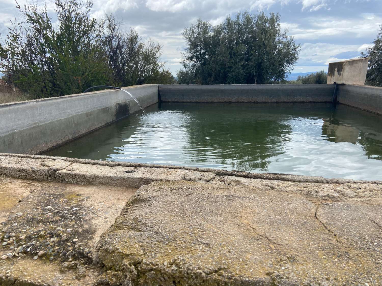 Ferme entièrement rénovée de 5 chambres et 1 salle de bain avec terrain irrigué à Taberno