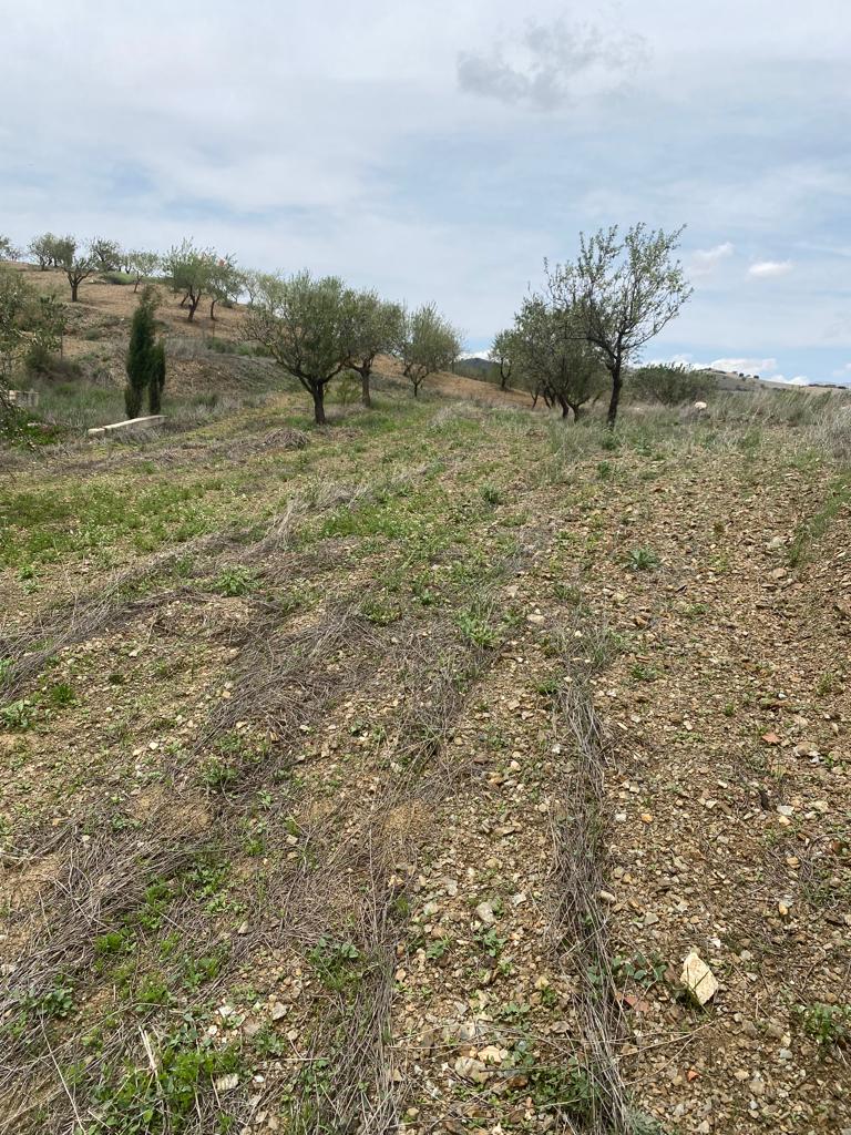 Dorfhaus mit 3 Schlafzimmern und 1 Bad, La Mata, Velez-Rubio