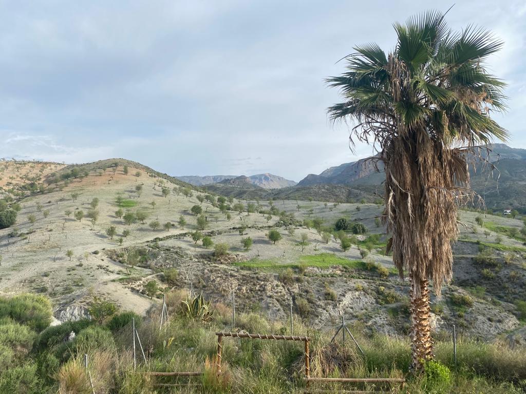 Villa de 4 dormitorios y 4 baños con piscina en Oria