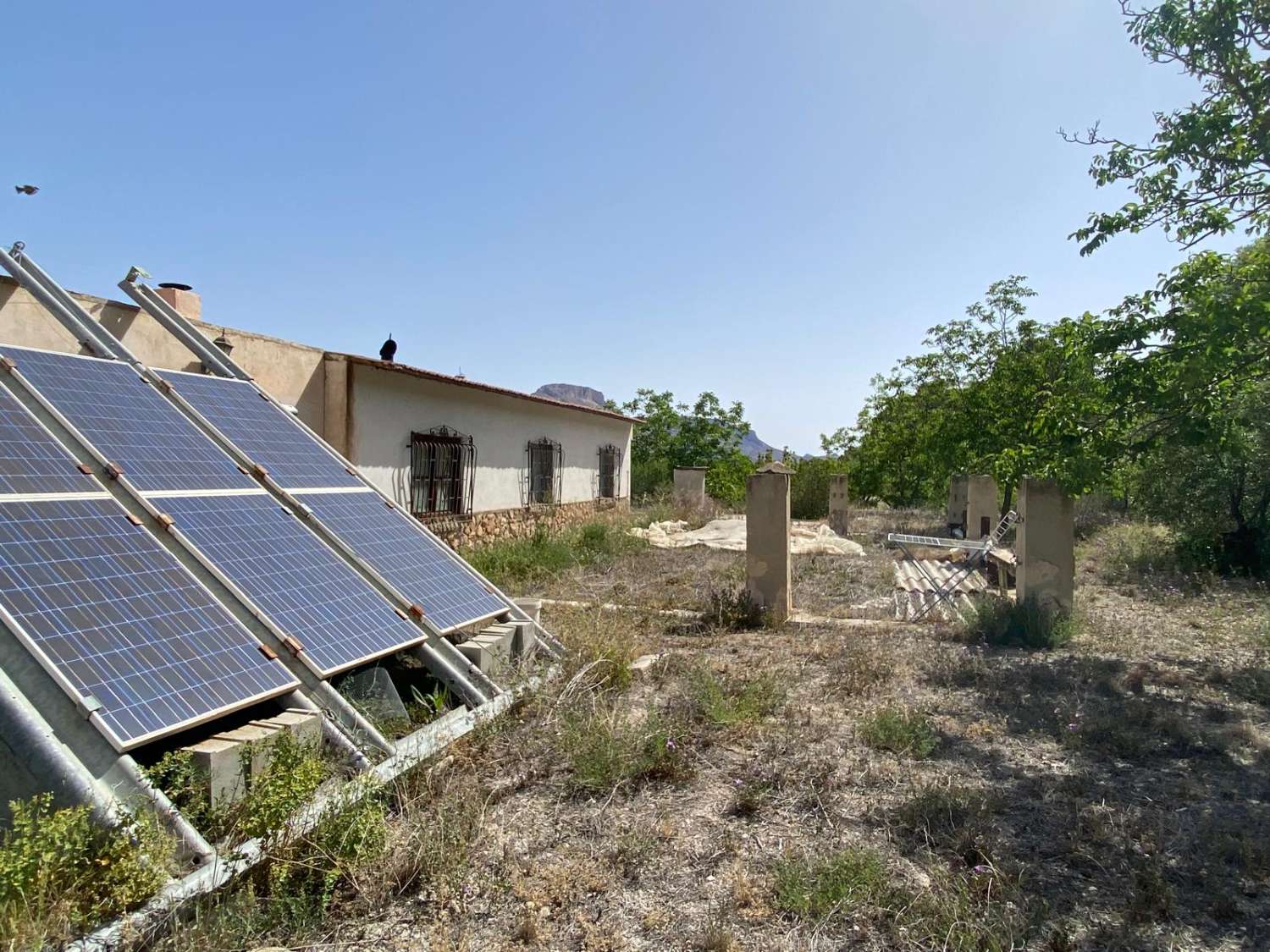 Proyecto en el paraíso