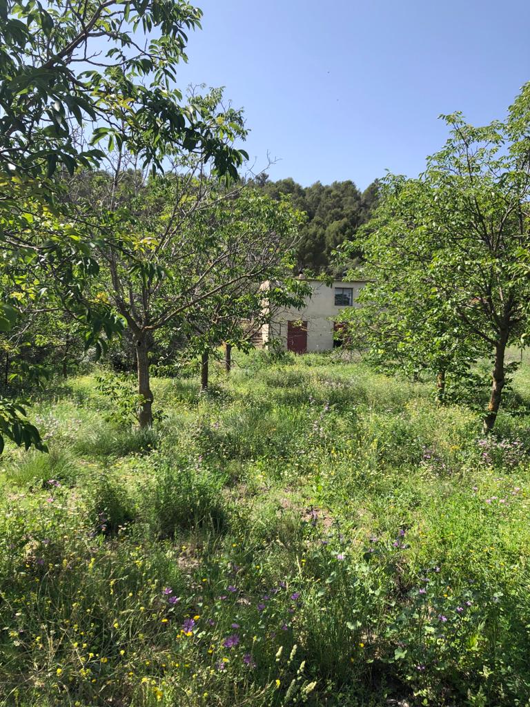 Project in paradise, two houses plus stables and land