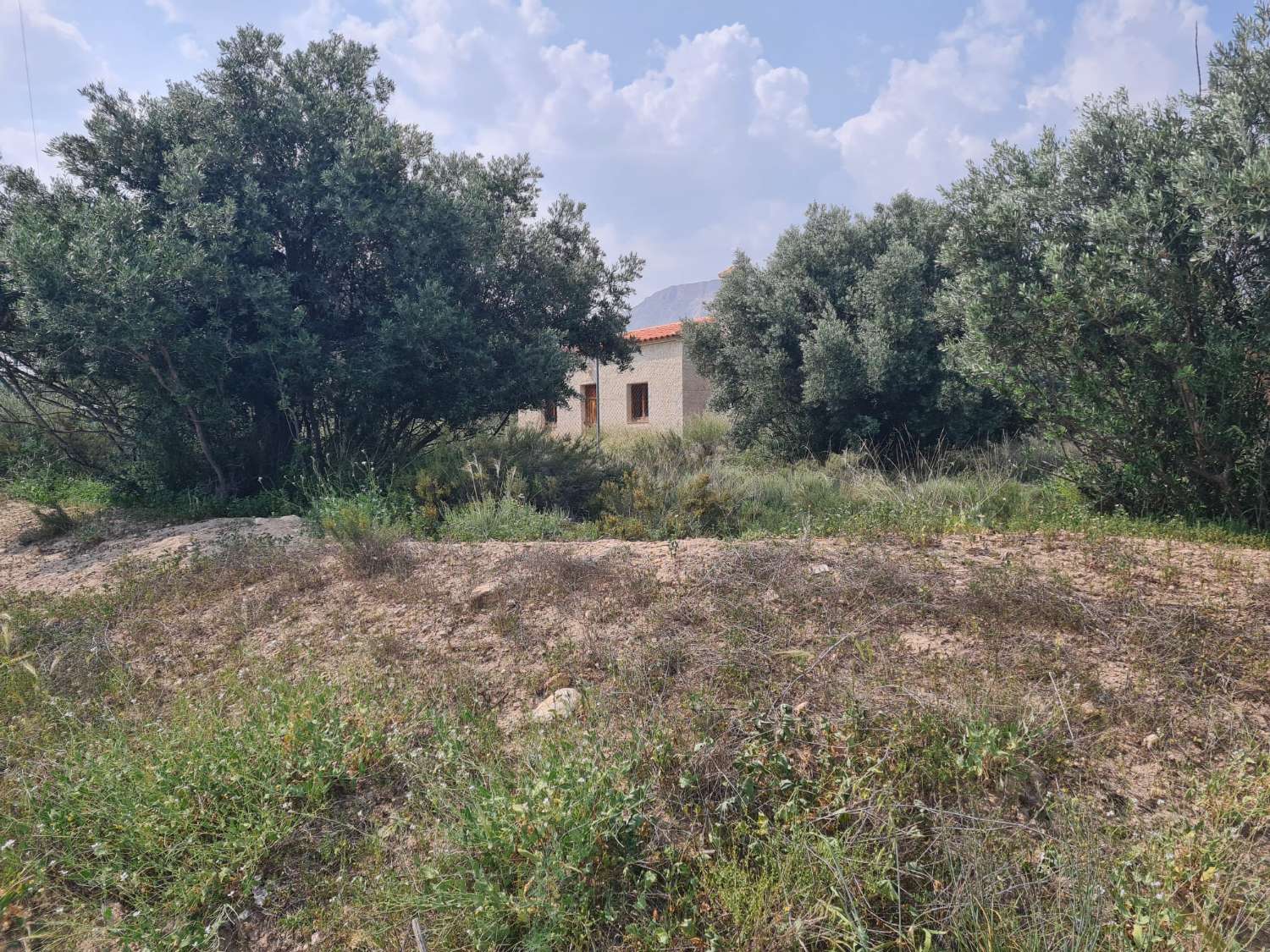 Belle maison de 3 chambres et 1 salle de bain près d'El Piar