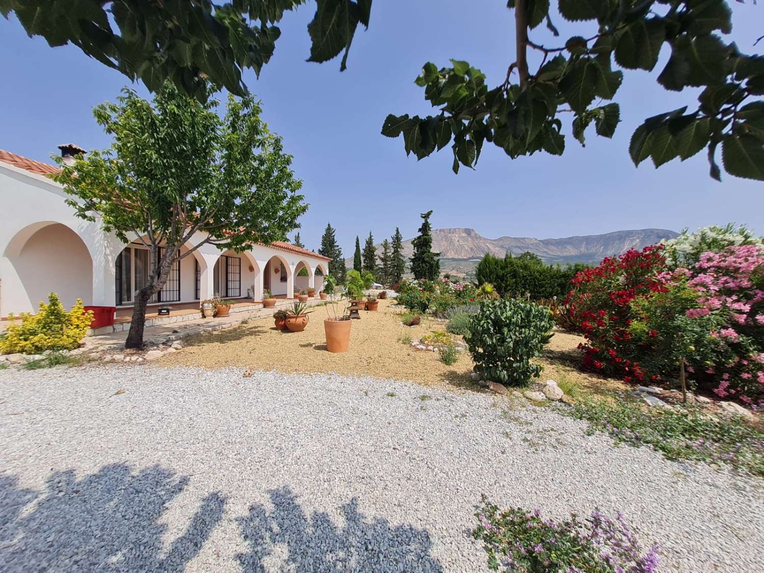 Hermosa villa de 4 dormitorios y 3 baños con piscina en un entorno encantador cerca de Vélez Blanco