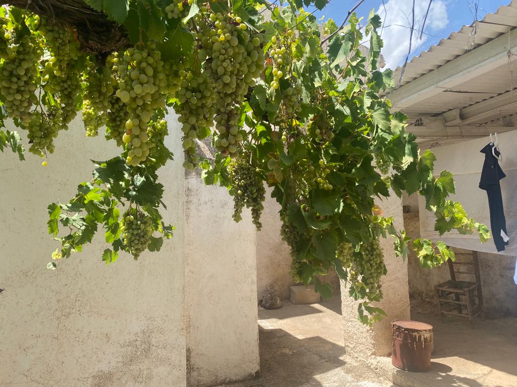 Casa parcialmente renovada de 3 habitaciones y 1 baño en Vélez-Blanco