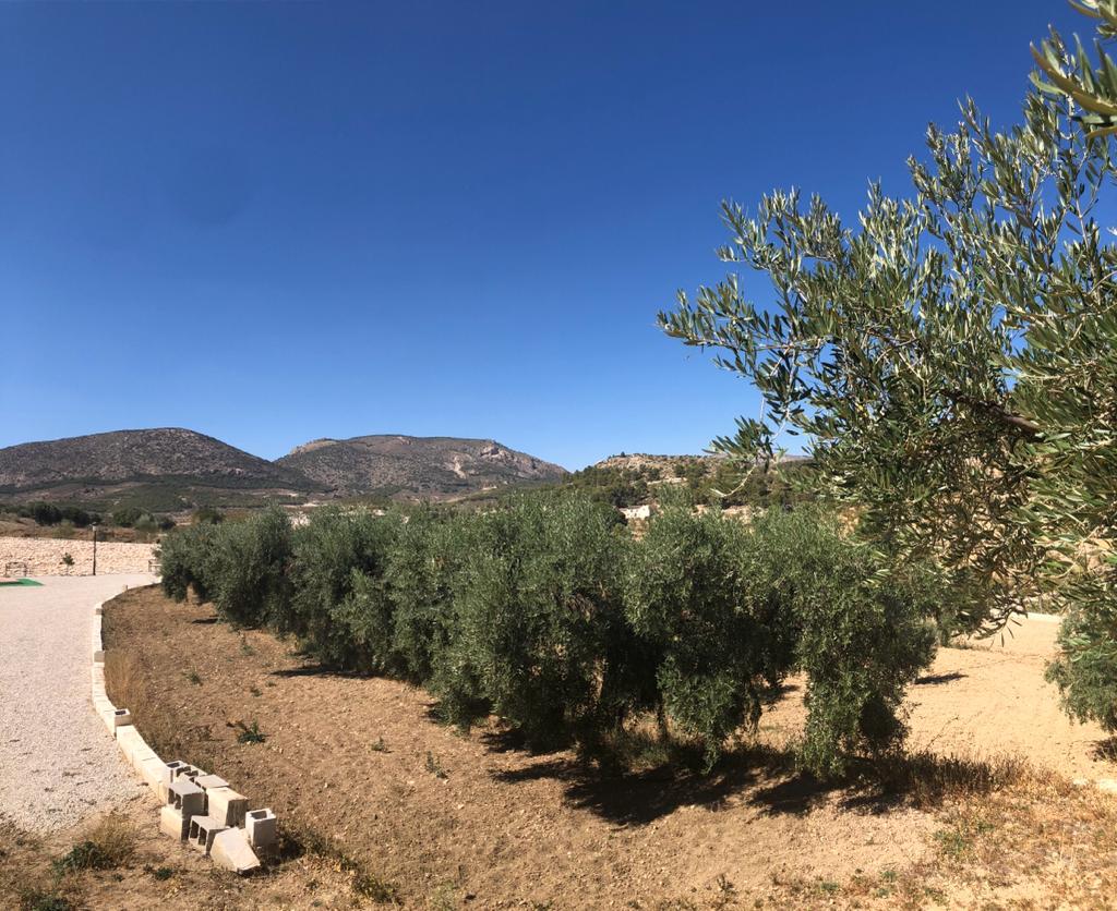 Villa 1 chambre, 1 salle de bain avec piscine et beaucoup de terrain à Vélez-Blanco