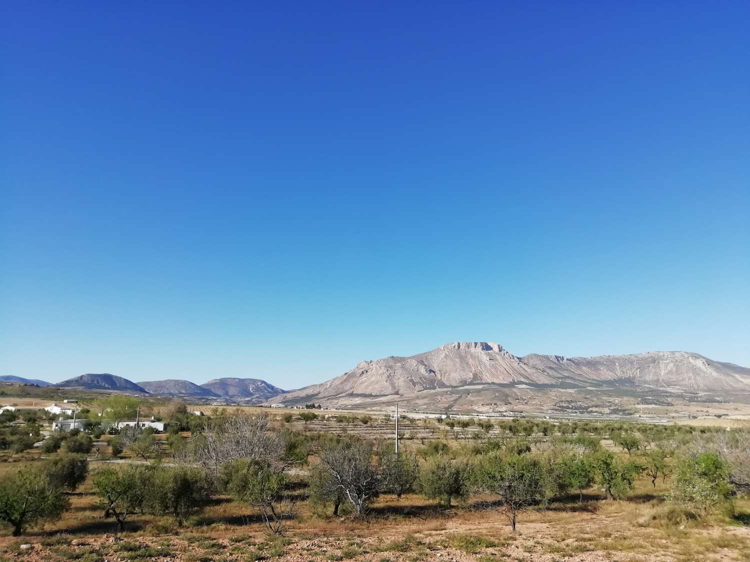 Finca con casa adosada, nave independiente, balsa piscina y 27.000m2 de tierra