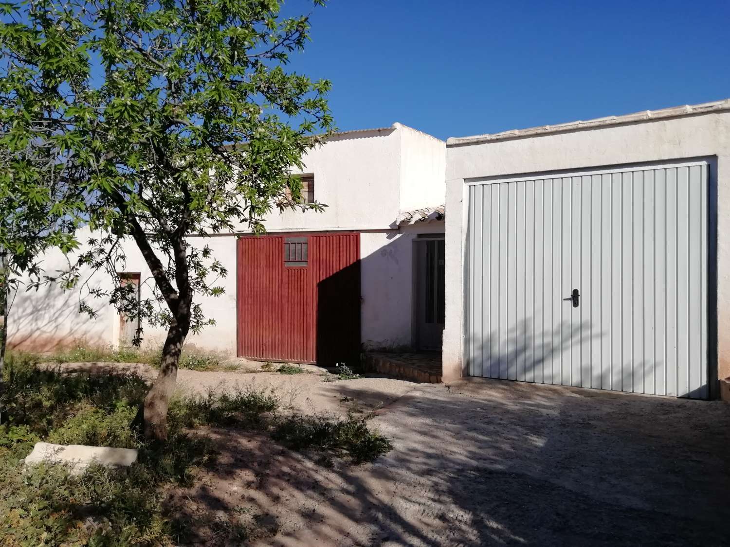 Finca con casa adosada, nave independiente, balsa piscina y 27.000m2 de tierra