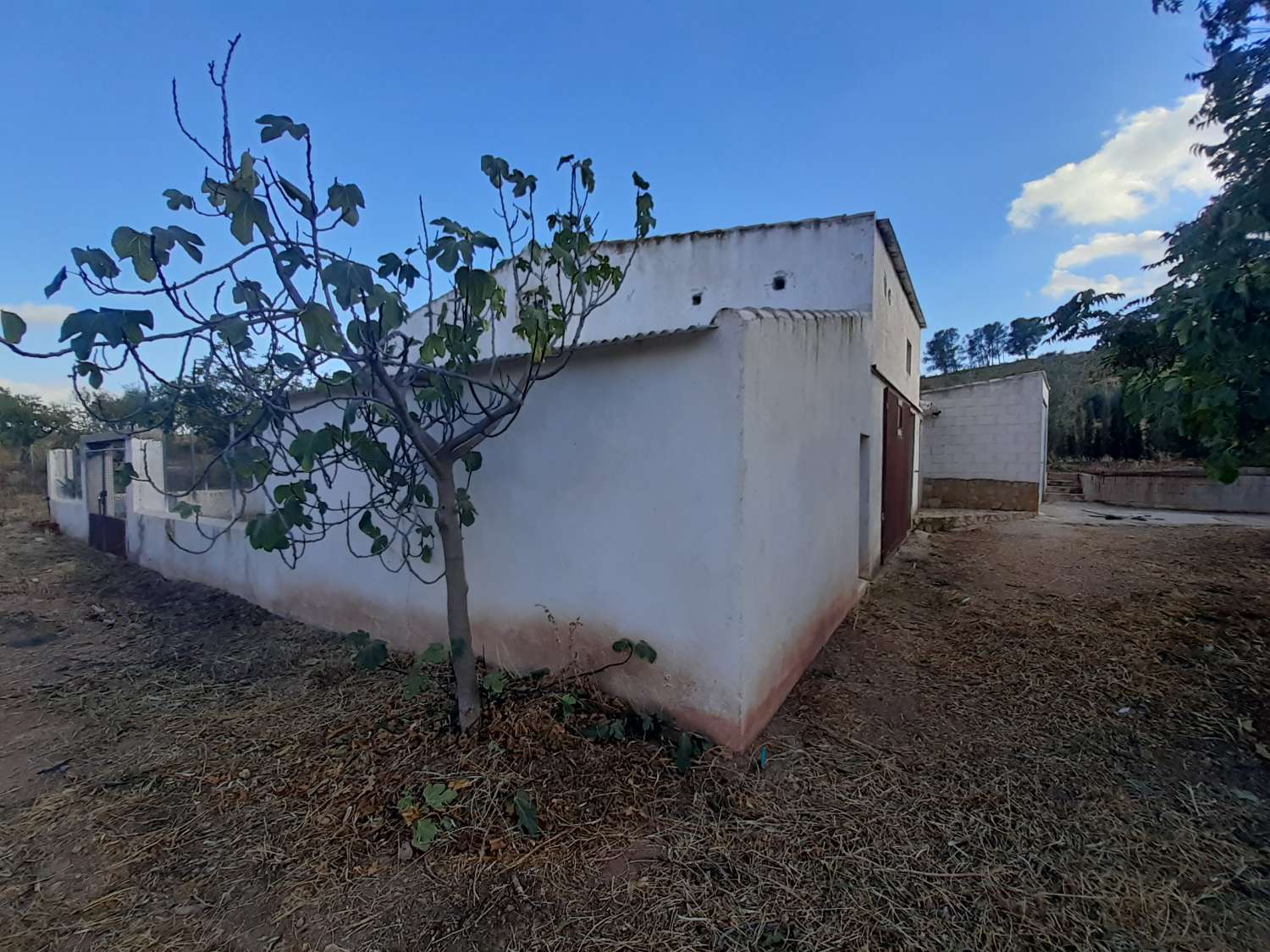 Finca con casa adosada, nave independiente, balsa piscina y 27.000m2 de tierra