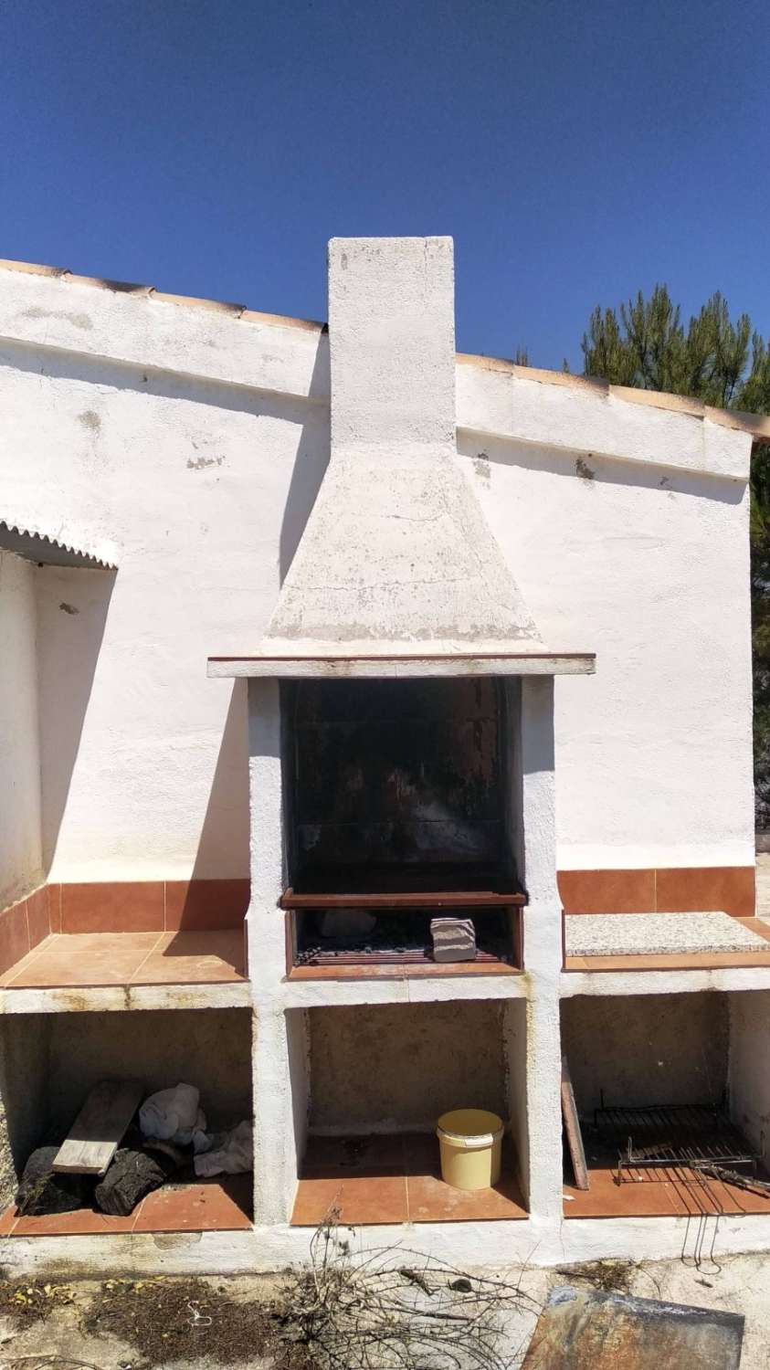 Casa y terreno con mucho potencial en Velez- Rubio con piscina.