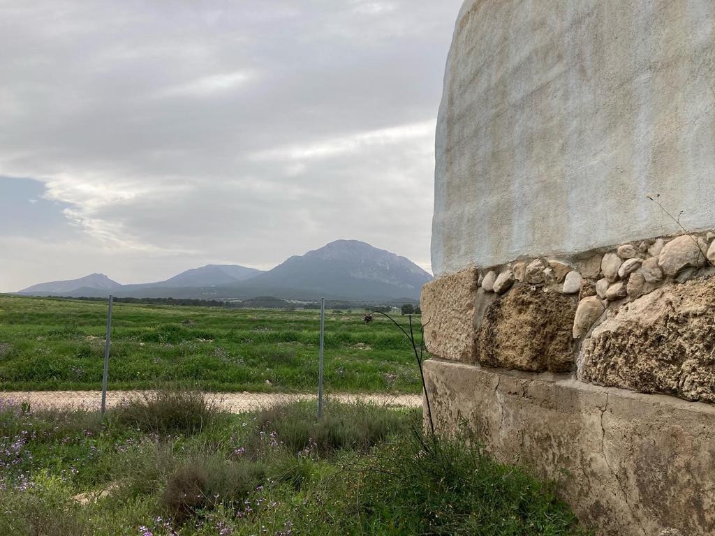 Finca rustica con tres casas y piscina en Zarcilla de ramos