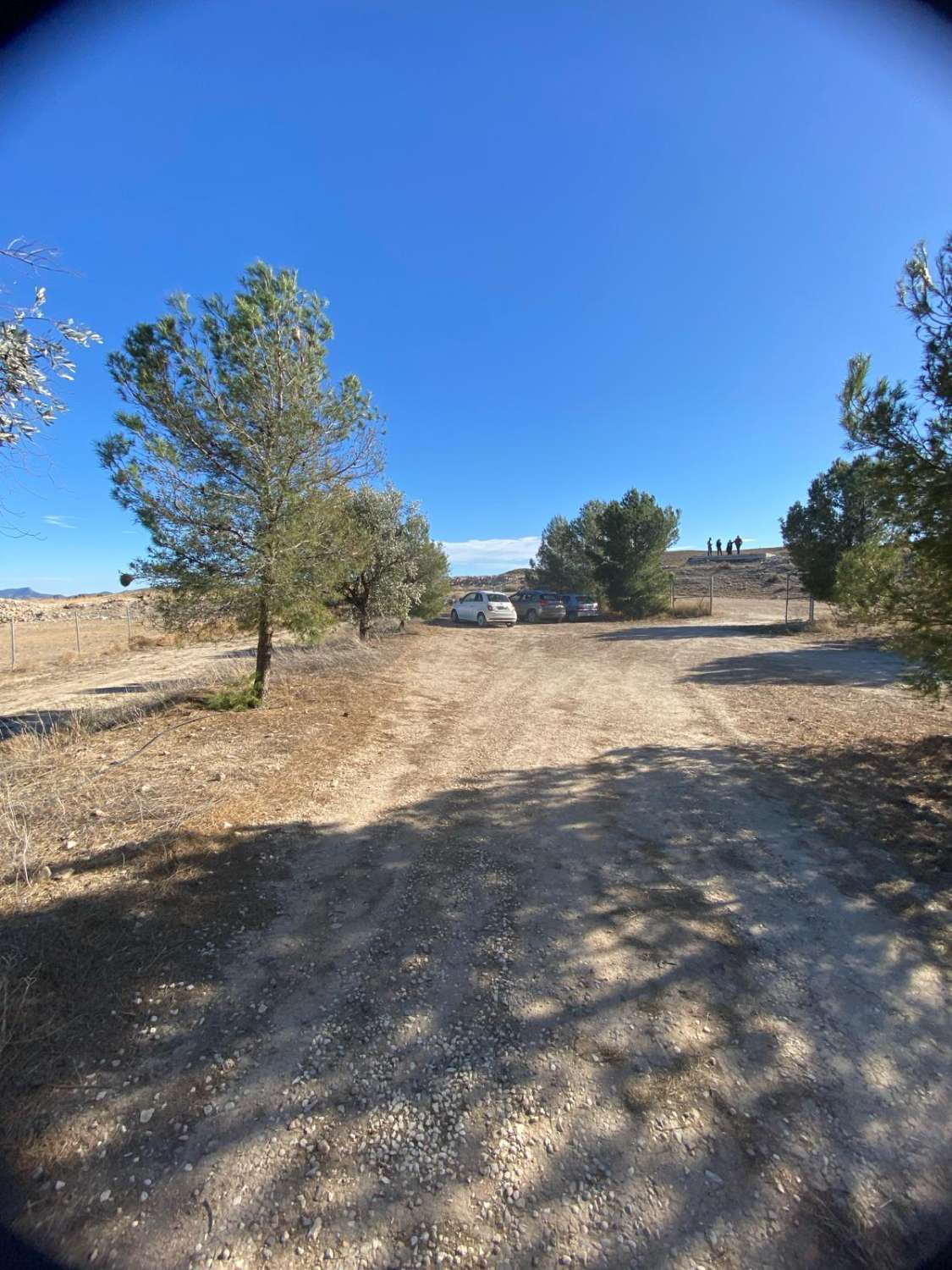 Finca rustica con tres casas y piscina en Zarcilla de ramos