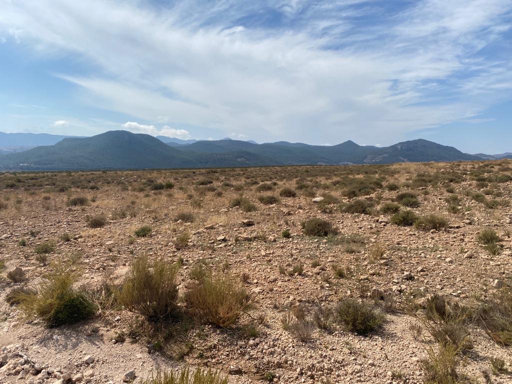 Land for sale near Velez-Blanco