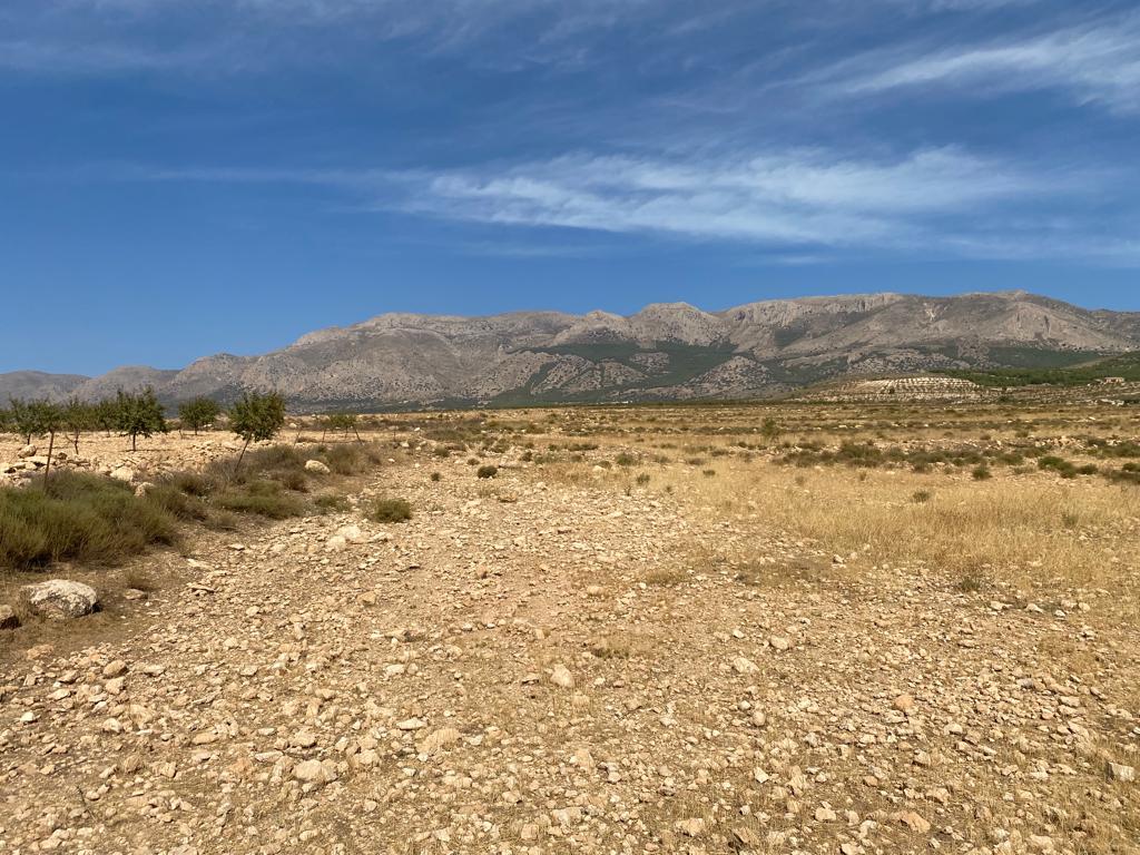 Land for sale near Velez-Blanco