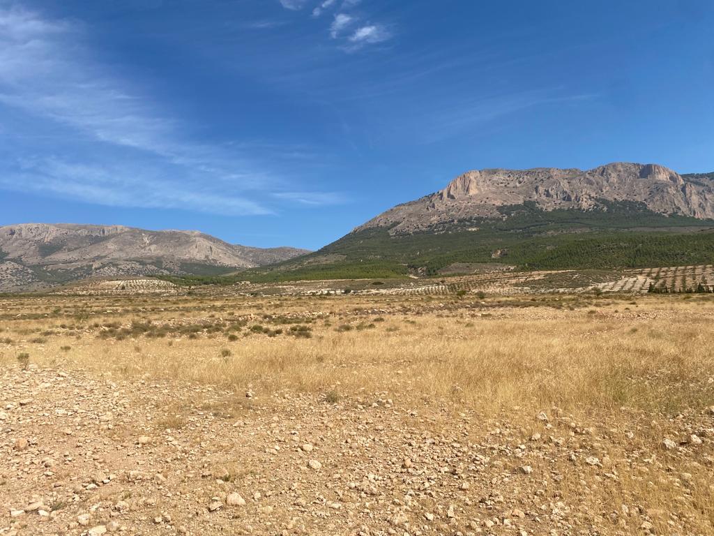 Land for sale near Velez-Blanco