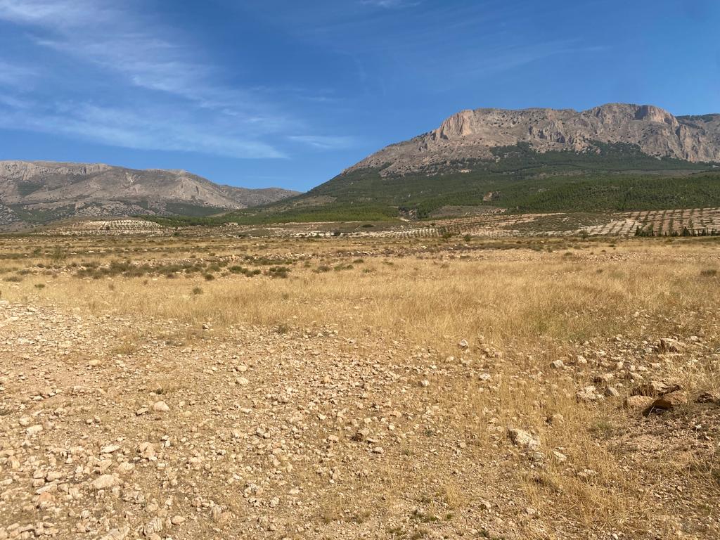 Land for sale near Velez-Blanco