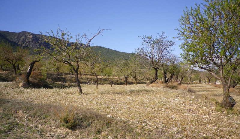 Semi Cortijo Rural para reformar con garaje independiente e impresionantes vistas cerca de Vélez/Rubio