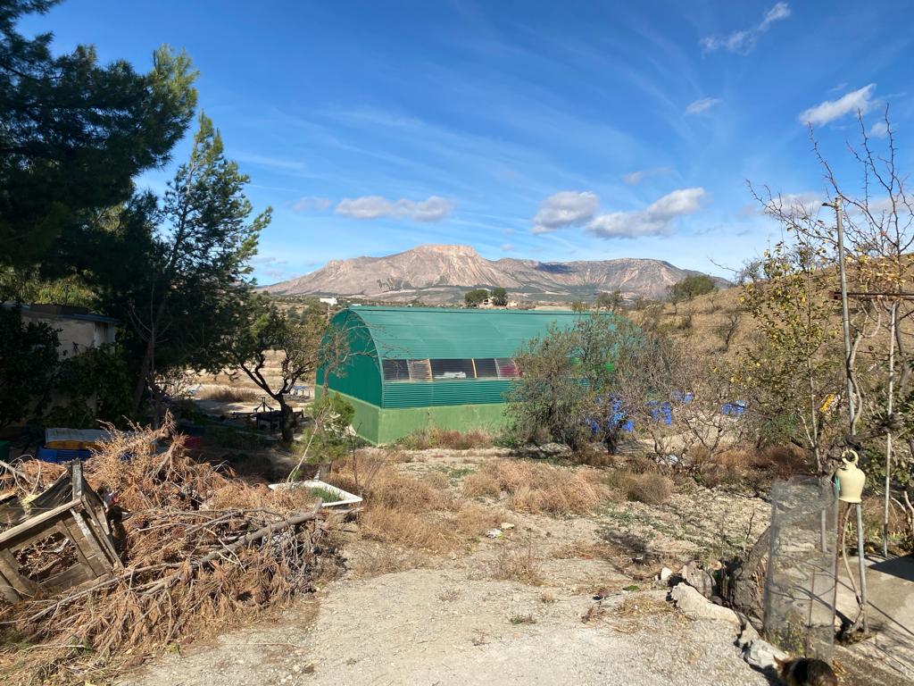 Landhuis met boerderij en 4 hectare landbouwgrond in Vélez-Rubio