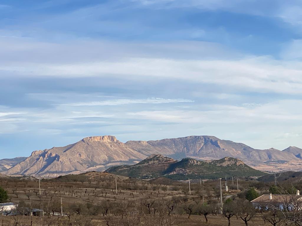 Woning te koop in Vélez-Rubio