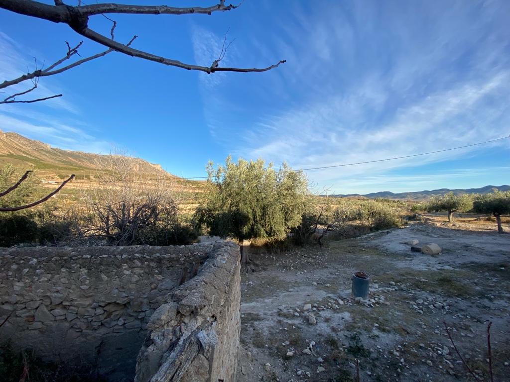 Beau et grand 5 chambres, 2 salles de bain, vieux cortijo avec terrain à la campagne près de Velez-Blanco