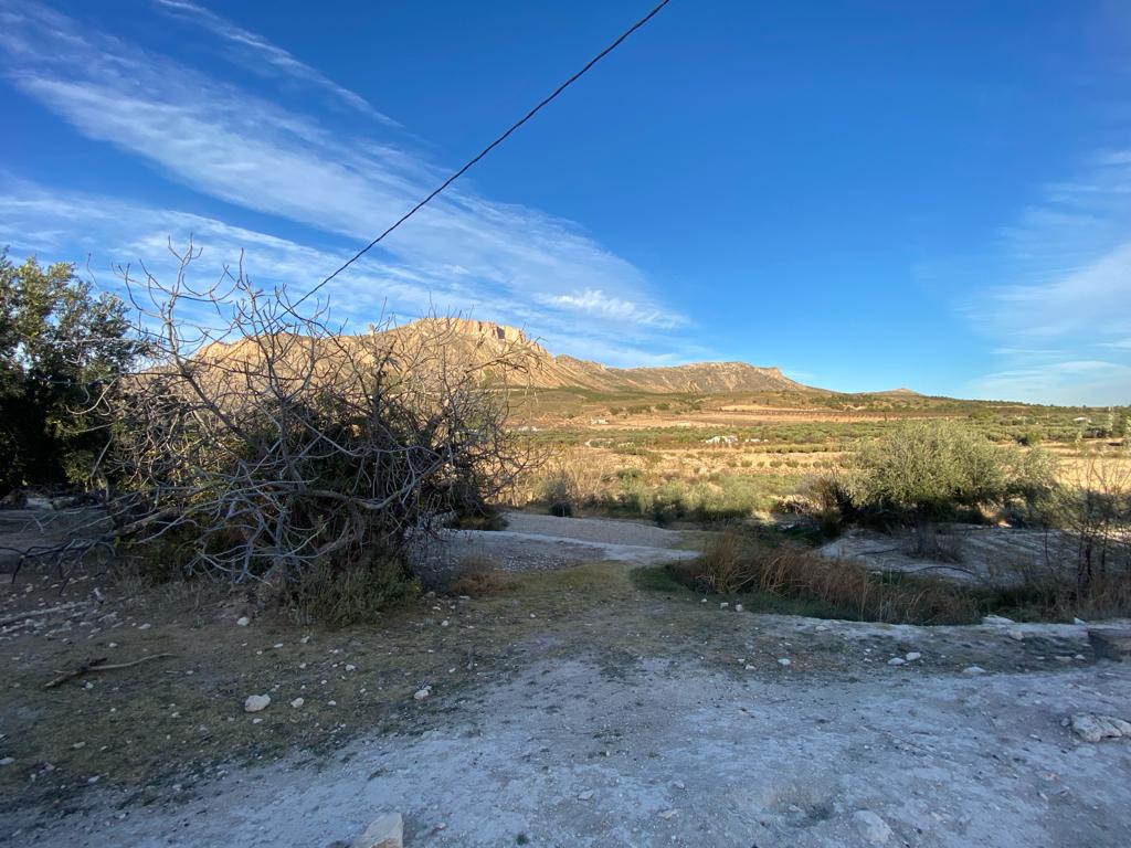 Lovely, large 5 Bed, 2 Bath, Old Cortijo with land in the countryside near Velez-Blanco