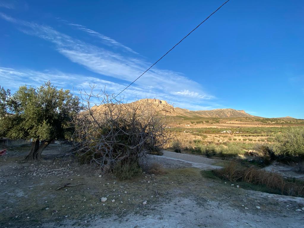 Beau et grand 5 chambres, 2 salles de bain, vieux cortijo avec terrain à la campagne près de Velez-Blanco