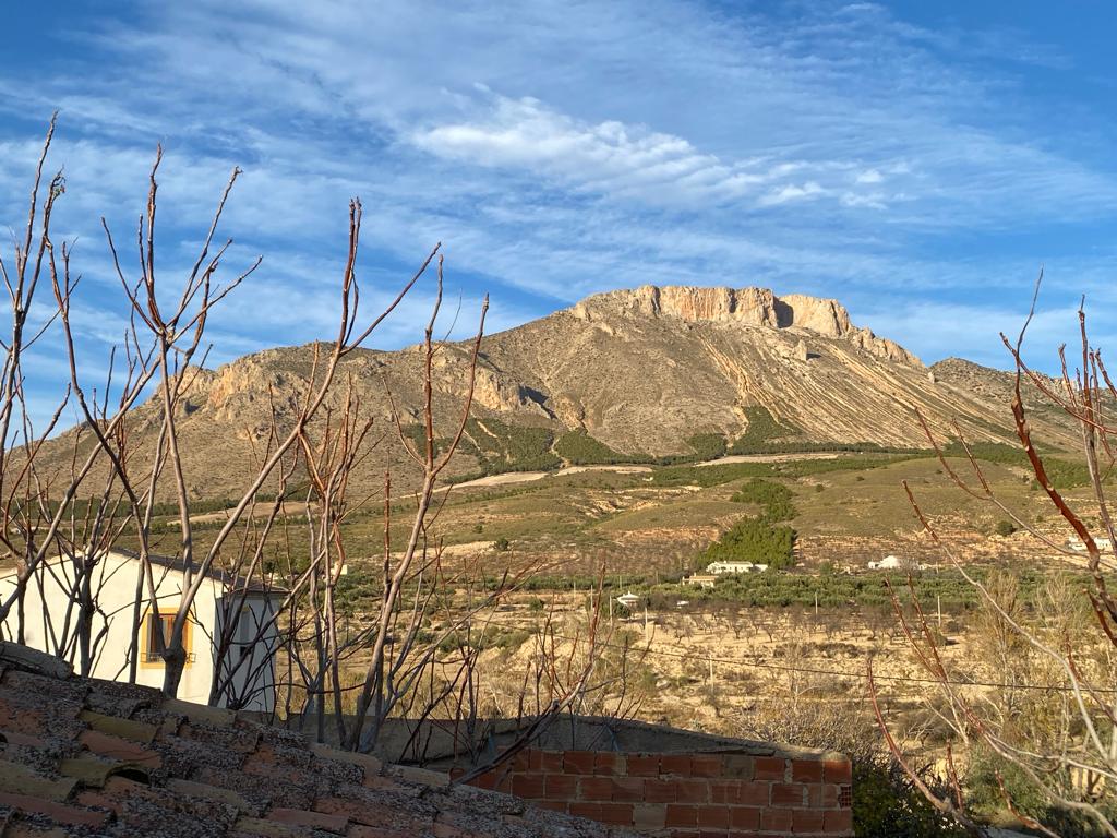 Precioso y grande 5 dormitorios, 2 baños, antiguo cortijo con terreno en el campo cerca de Vélez-Blanco