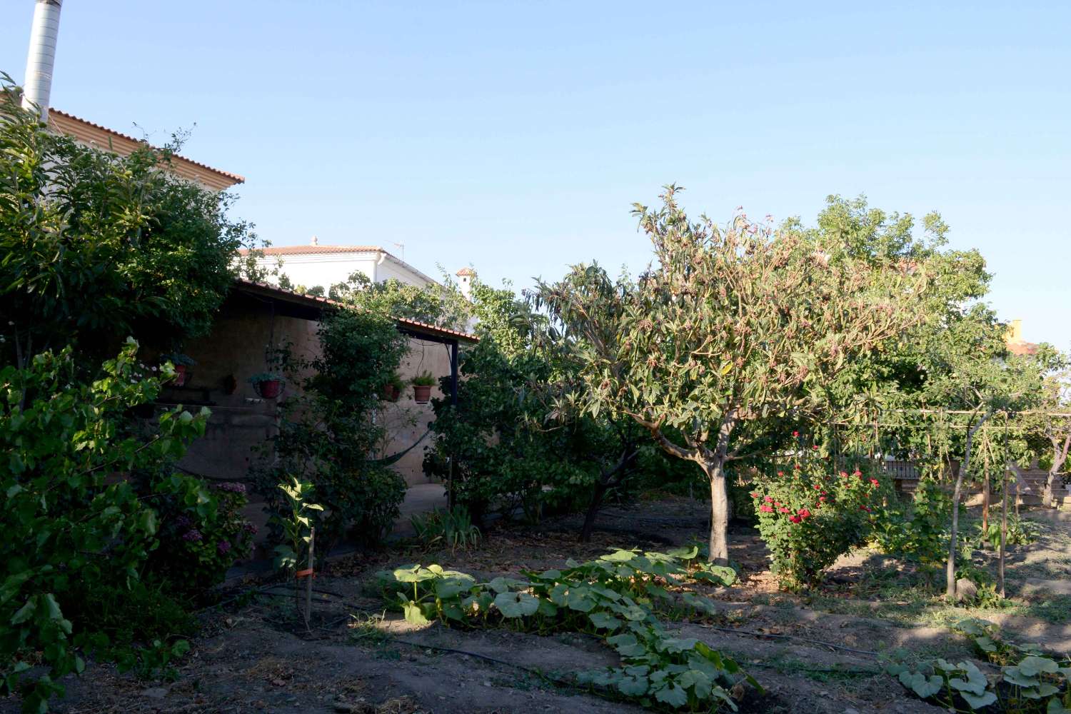 Wunderschönes Haus mit 5 Schlafzimmern und 3 Bädern in Huéneja in der Provinz Granada