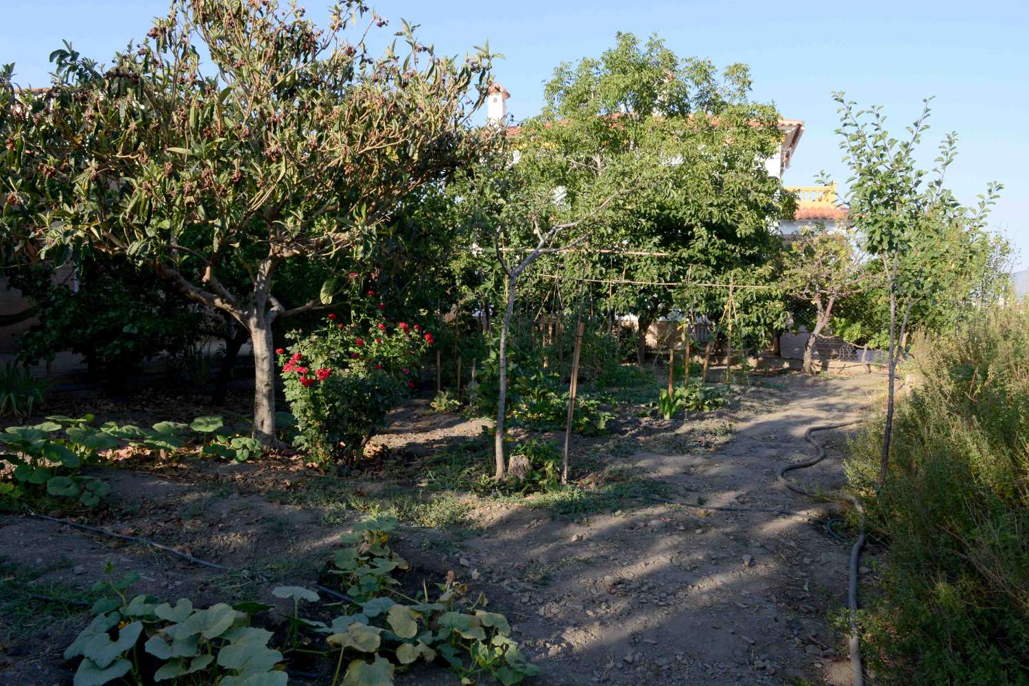 Wunderschönes Haus mit 5 Schlafzimmern und 3 Bädern in Huéneja in der Provinz Granada