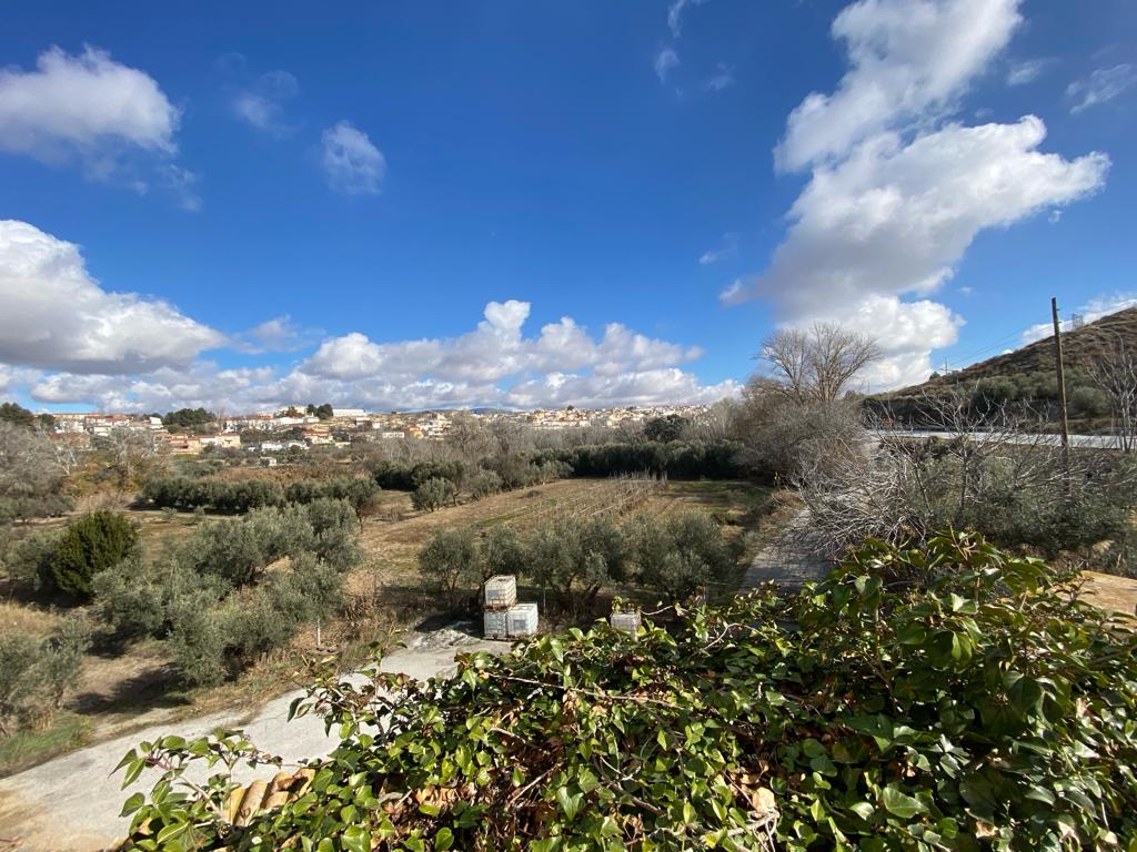 Huis, appartement, groot magazijn en grond in Cullar, Granada