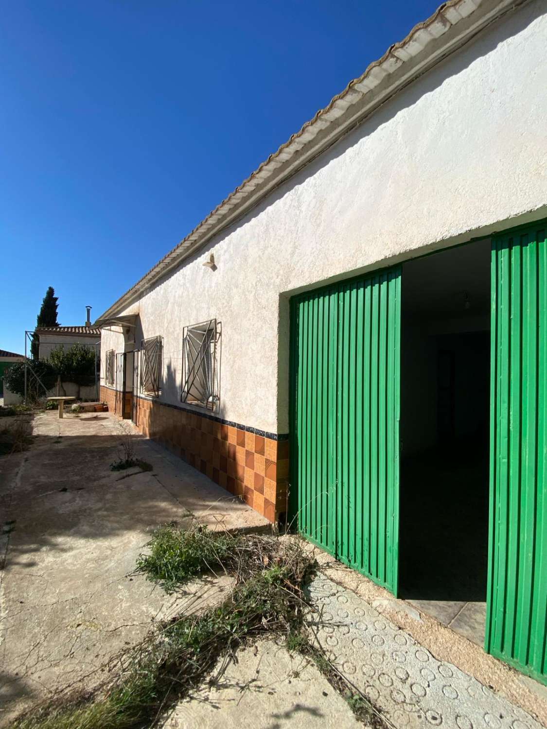 Maison de plain-pied bien construite, 4 chambres, 1 salle de bain, grand jardin à Las Vertientes