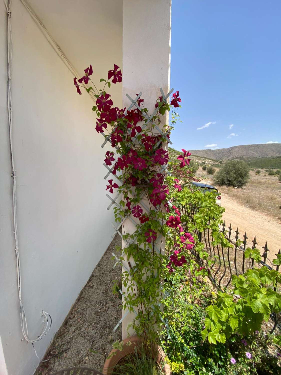 Maison individuelle de haute qualité avec quatre chambres et deux salles de bains à Oria