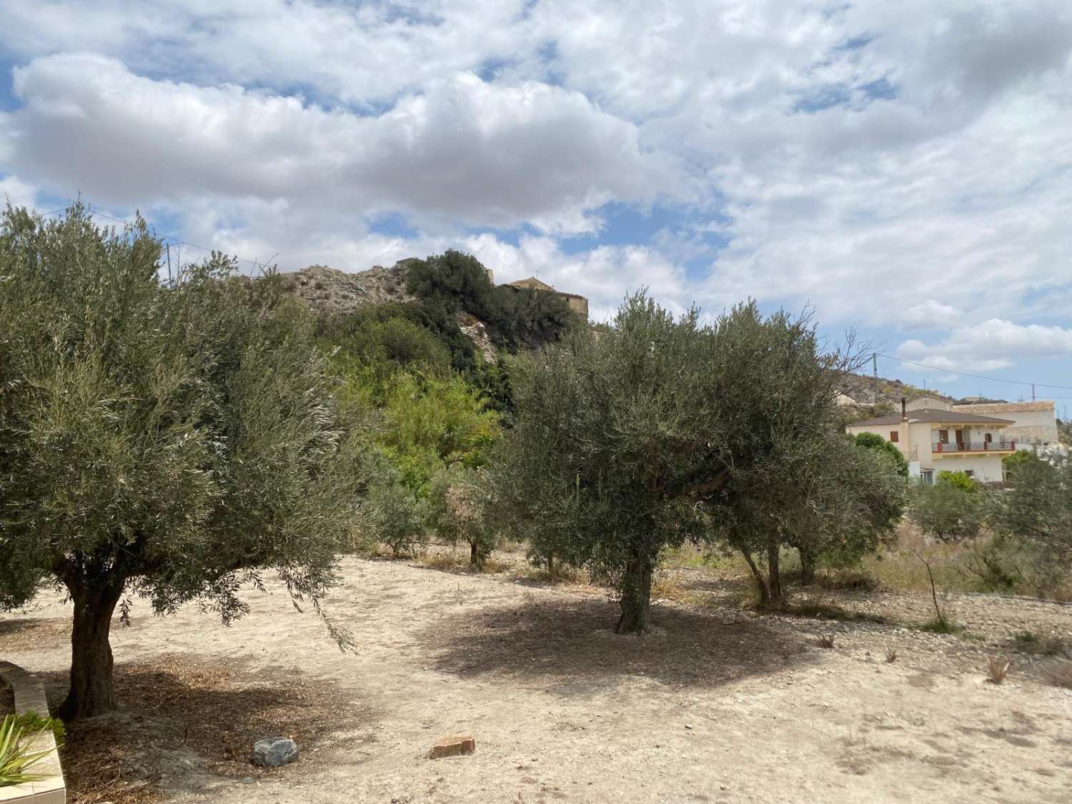 Superbe maison de campagne actuellement composée de trois appartements séparés à Oria