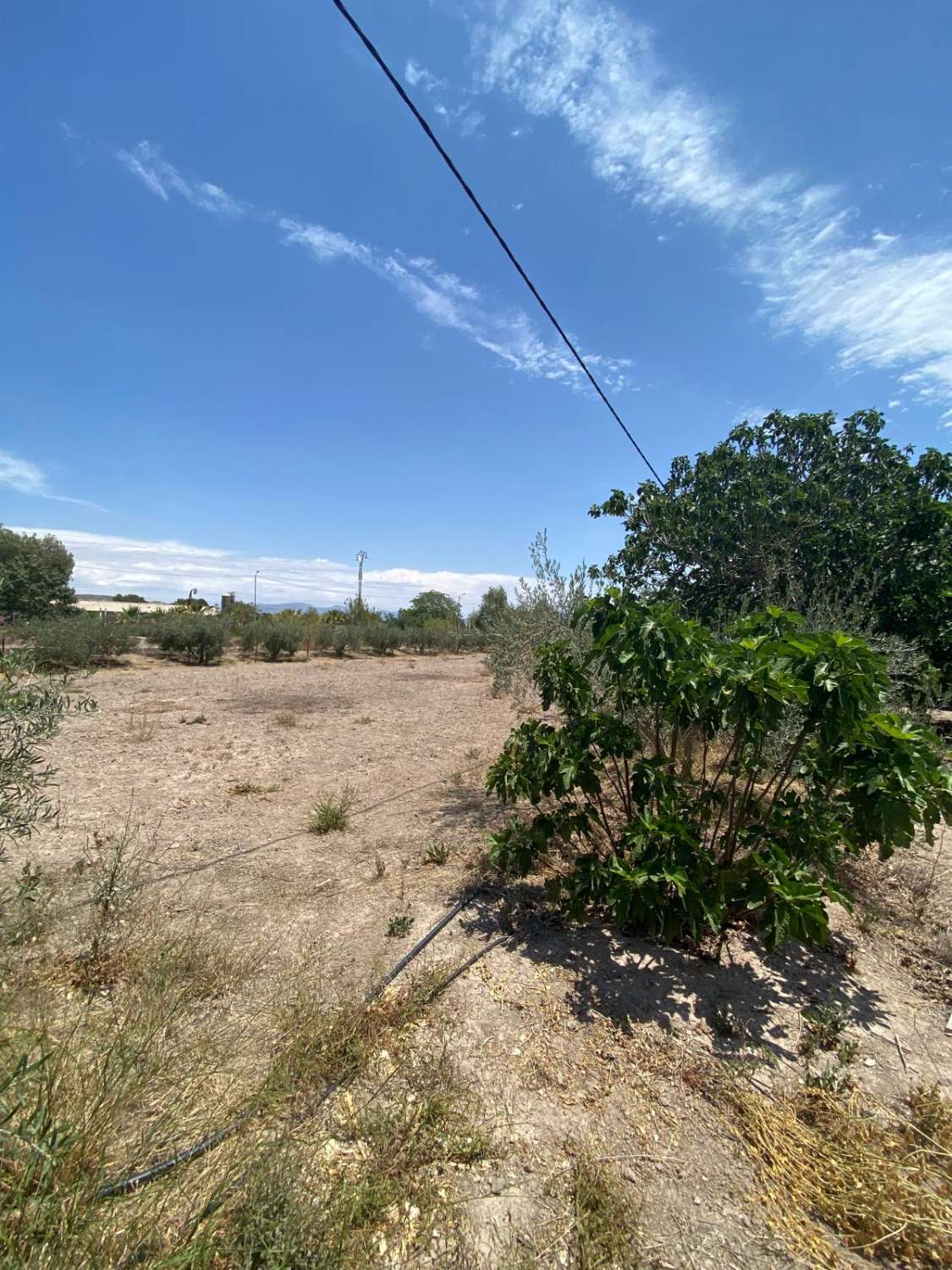 Grand terrain urbain prêt à être réaménagé