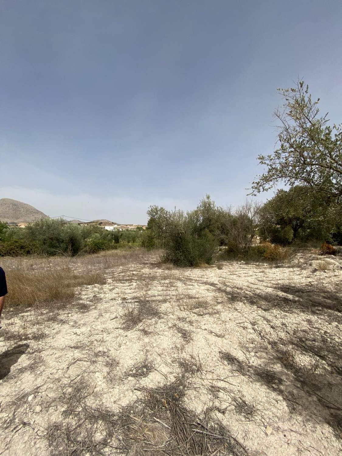 Cortijo de 4 dormitorios con 7.000m2 de terreno en las afueras de Vélez Blanco