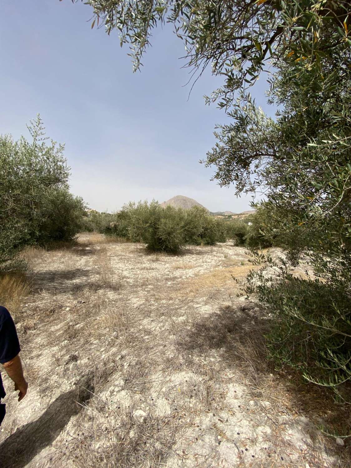 Cortijo de 4 chambres avec 7 000 m2 de terrain à la périphérie de Velez Blanco