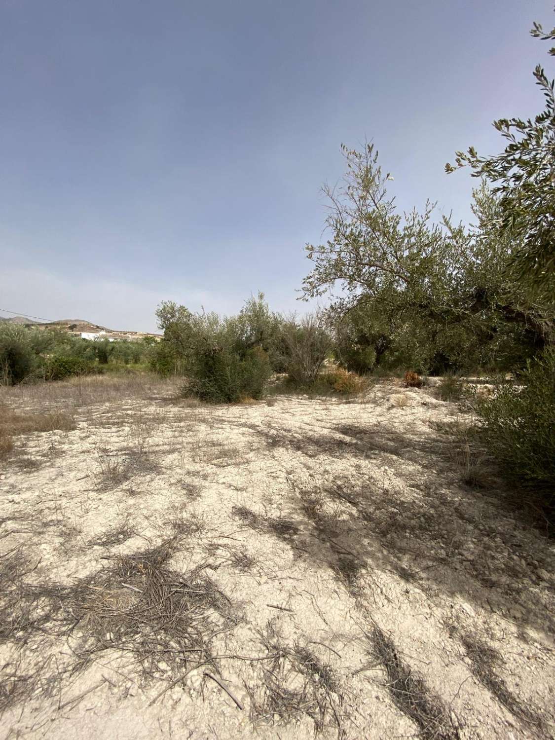 Cortijo mit 4 Schlafzimmern und 7.000 m2 Land am Stadtrand von Velez Blanco