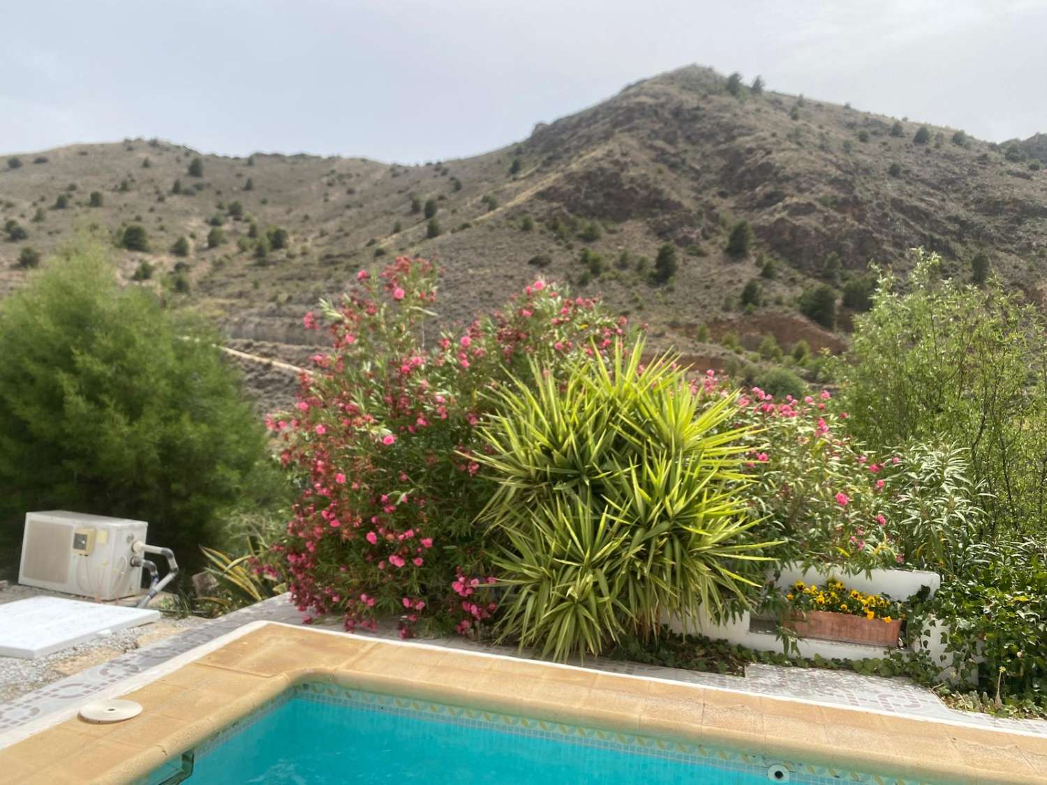 Villa with 3 beds / 2 baths and swimming pool in lovely setting near Oria