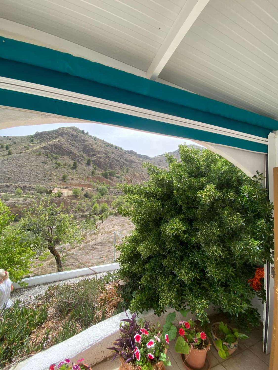 Villa avec 3 chambres / 2 salles de bains et piscine dans un cadre agréable près d'Oria