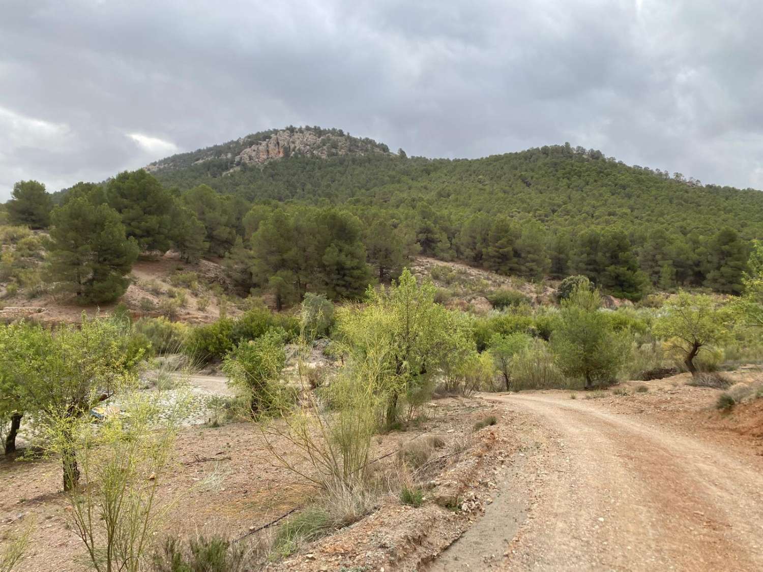 Large reformed cortijo with land