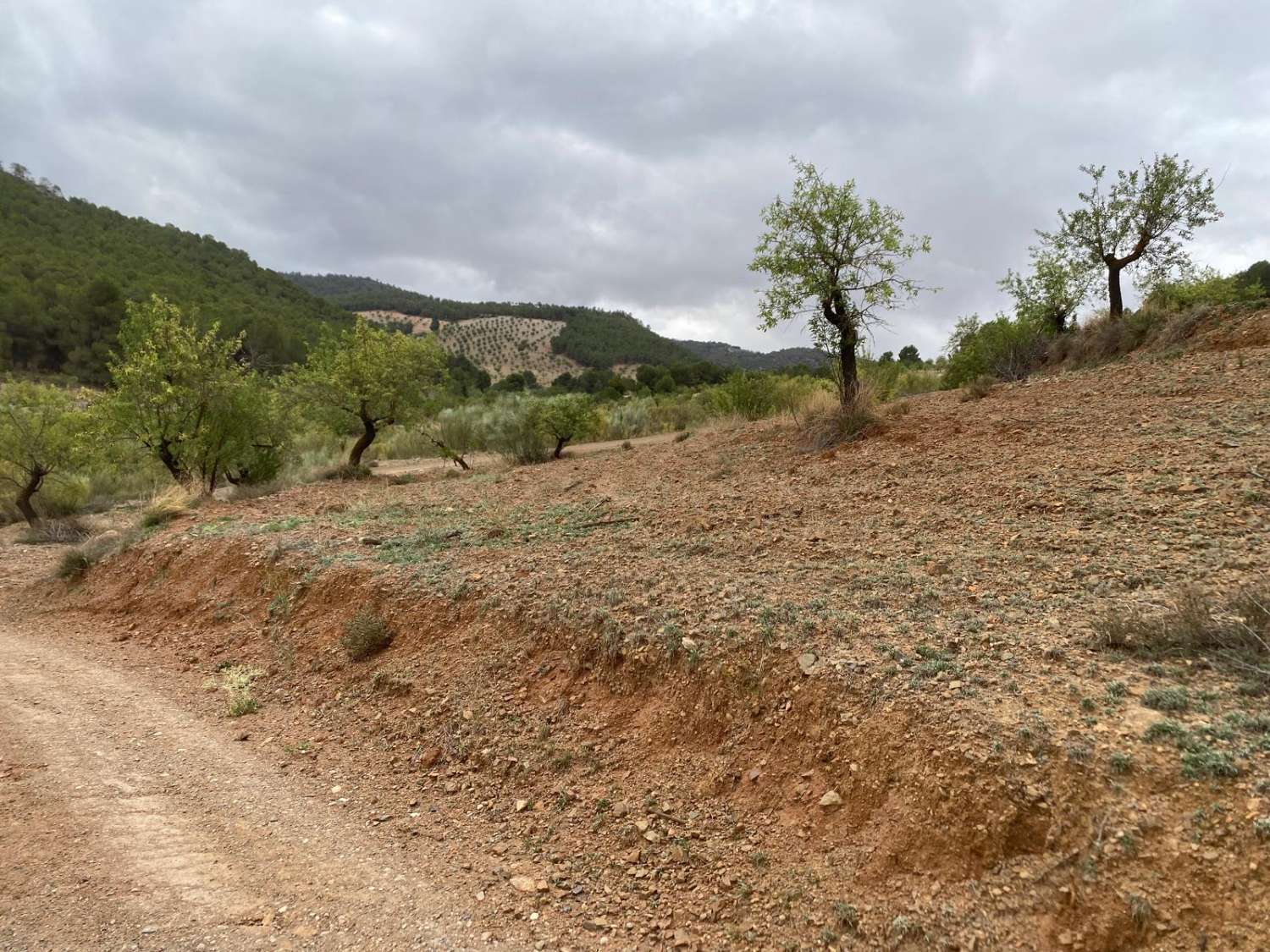 Großes reformiertes Cortijo mit Grundstück