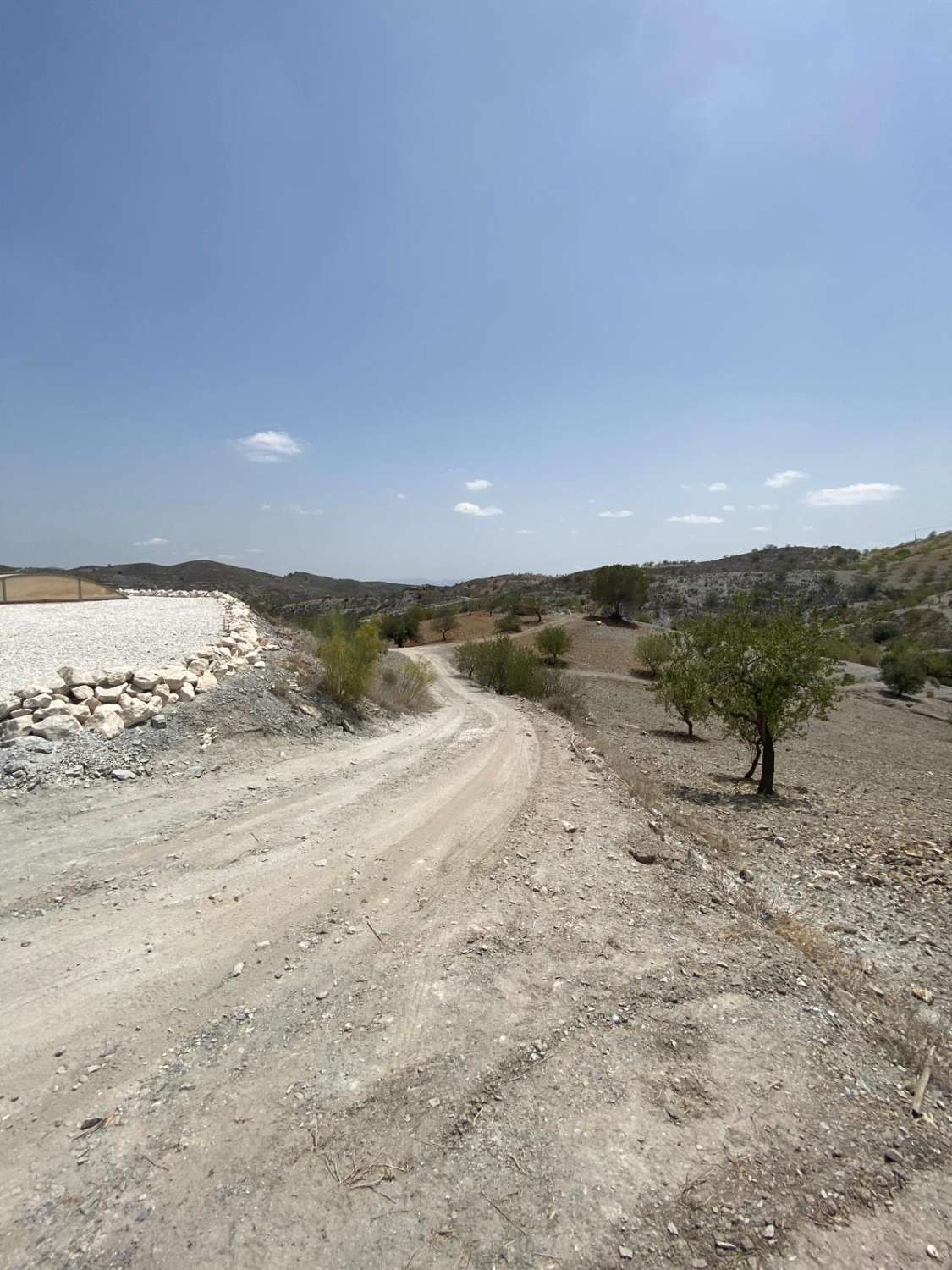 Prachtige cortijo met 5 slaapkamers en 3 badkamers met zwembad in Henares met 8 hectare grond