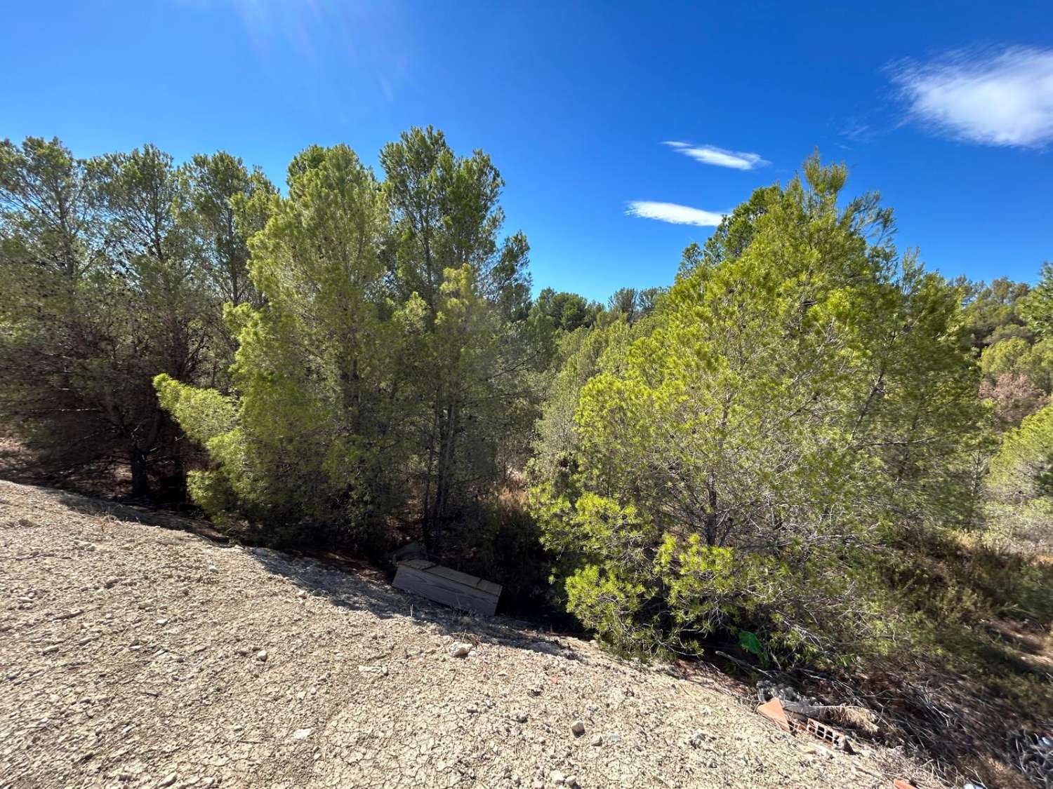 Casa en venta en Lorca